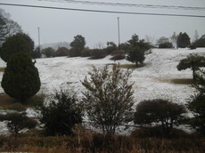 雪の公園