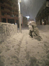 2010大晦日雪に埋もれた歩道.jpg