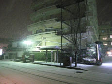 20110112雪の夜.jpg