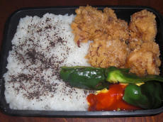 20110119弁当.jpg