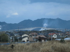 橋大根島