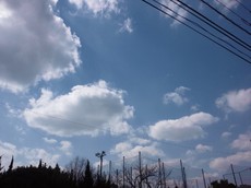 調布の青空