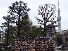 今戸神社